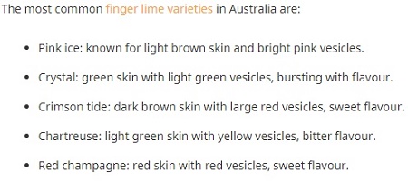finger lime